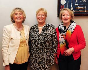 Tidy Towns Awards 2014 08