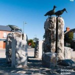 tidy towns May 2014 oyster catchers