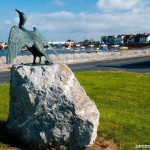 tidy towns May 2014 oyster cormorant