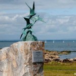 tidy towns May 2014 terns