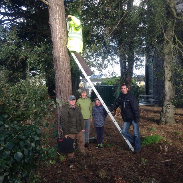 Installing a bird box